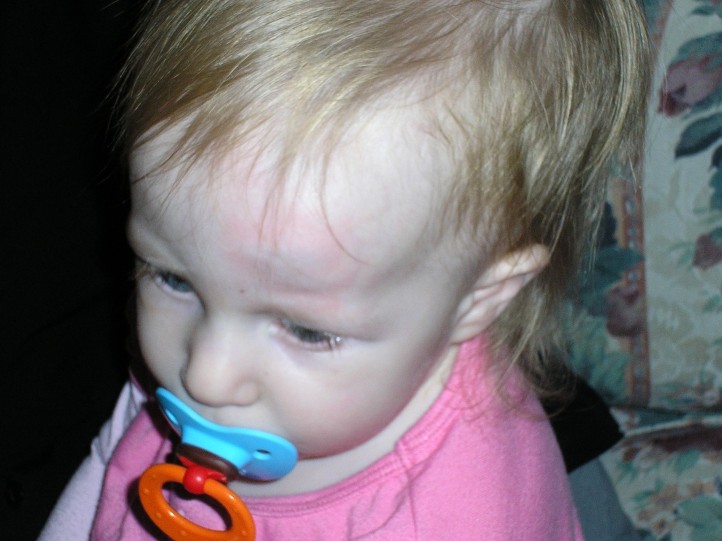 january-2008-017.jpg