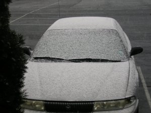 snow-11302008-1