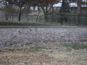 snow-11302008-21