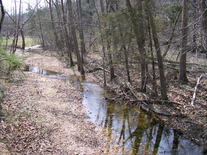 p32200381