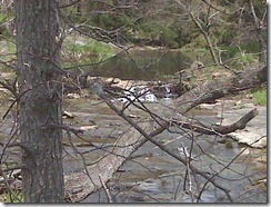 IMG00117