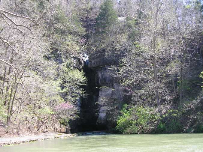 p42000891