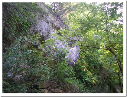 P7280074
