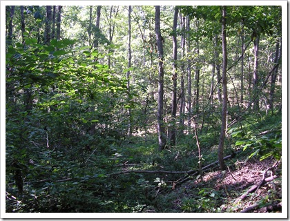 P8030144