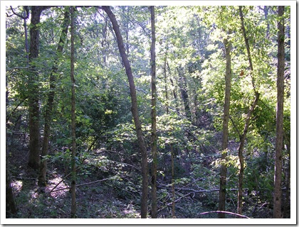 P8030145