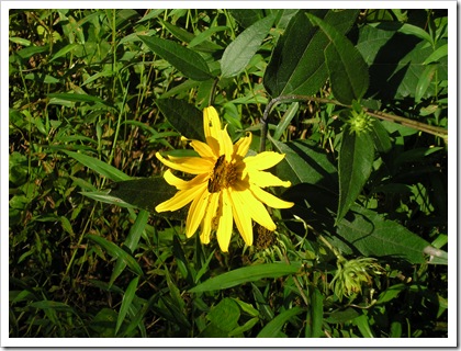 P8030153