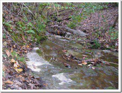 PA110052
