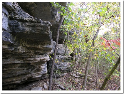 PA110059