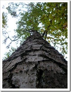 PA110071