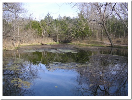 P3230132