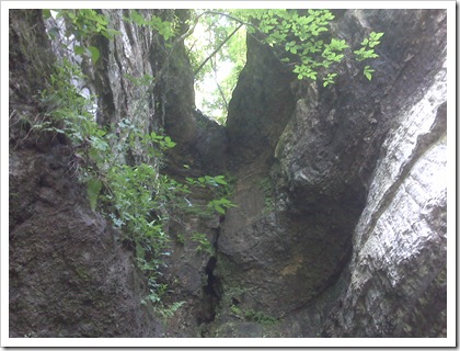 Roaring River 1