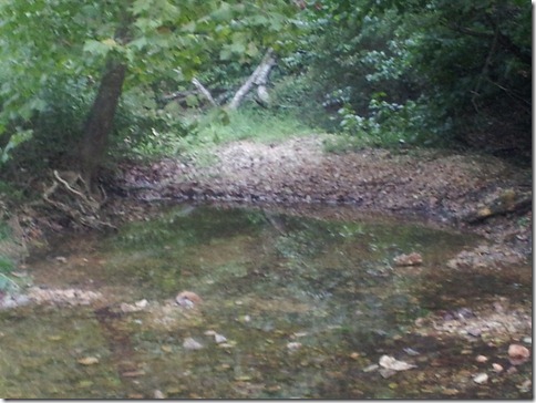 VanWinkle4